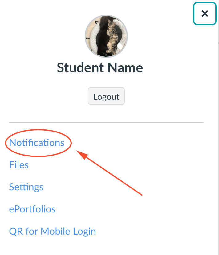 CanvasNotifications.png