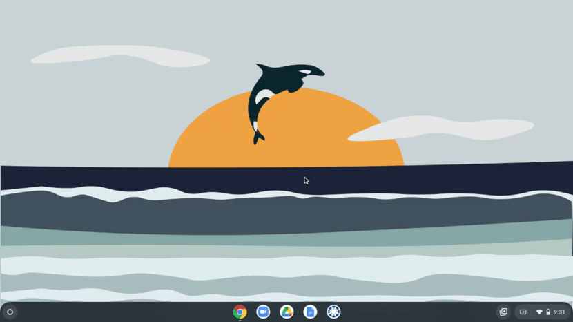 Untitled__Jan_11__2022_9_32_AM.gif